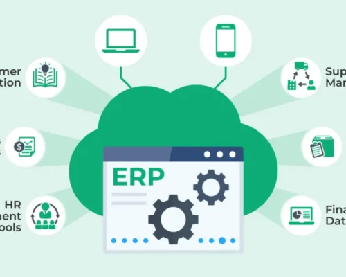 FBR Compliance Made Easy, Why Pakistani Businesses Need Cloud ERP in 2025