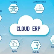 What Is Cloud ERP and Why Businesses Will